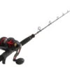 PENN Fathom FTH25NLD Ocean Assassin Jigging Combo 5ft PE3-5 1pc