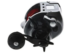 Shimano Dendou Maru Plays 4000 Vortex Electric Game Combo 5ft 7in 15-24kg 1pc -Fishing Gear Store bundledplays4000andvtx57bt1524nz 2 1