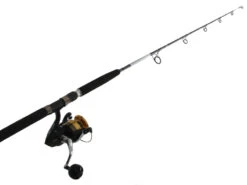 Shimano Socorro 10000 SW And Vortex Jigging Combo 5ft 5in 15-24kg 1pc