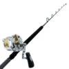 Shimano Talica 50 II Status Blue Water Roller Tip 2-Speed Game Combo 5ft 6in 37kg 1pc
