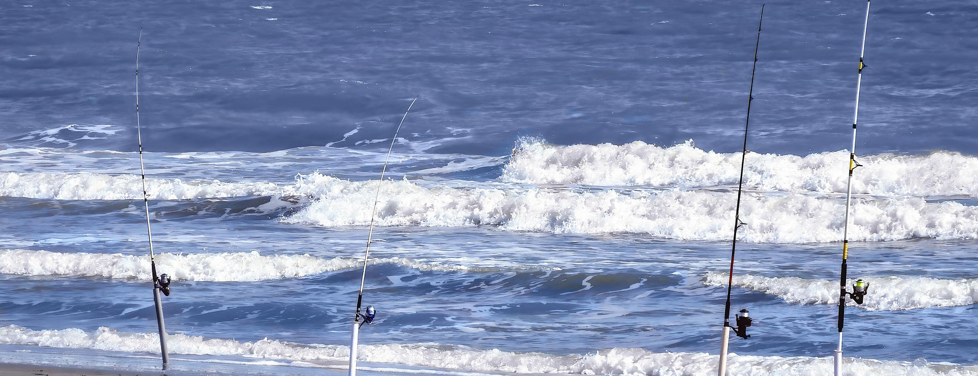 Fishing Gear Store -Fishing Gear Store fishing 5314875 1920