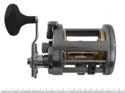 Shimano Tekota 800 Level Wind Overhead Reel -Fishing Gear Store trtek80 5
