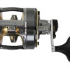 Shimano Tyrnos 20 II 2 Speed Overhead Reel